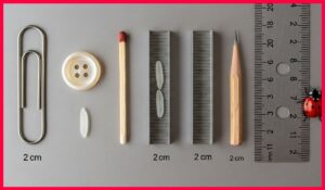 Visualize 2 Centimeters