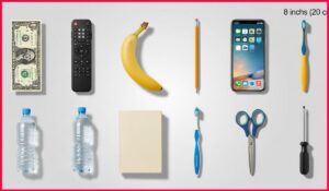 How Long Is 8 Inches