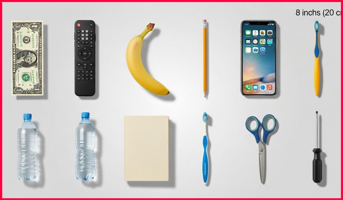 How Long Is 8 Inches