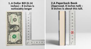 8 Inches Actually Look Like